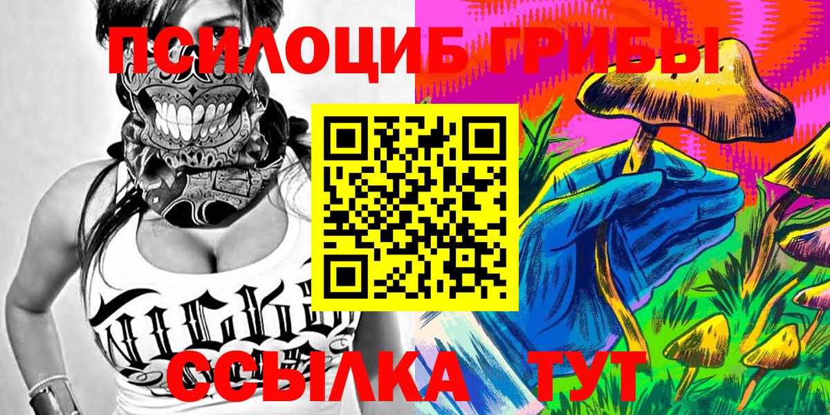 Псилоцибиновые грибы Cubensis Кимовск